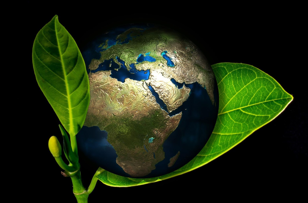 Dia Mundial do Meio Ambiente: 5 desafios para o futuro